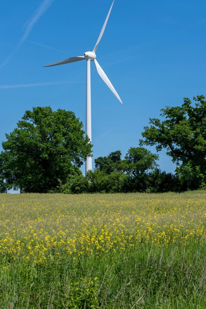 pexels-photo-32077357-32077357 A white wind turbine set against a clear blue sky in a field of yellow flowers and green trees, capturing sustainable energy.